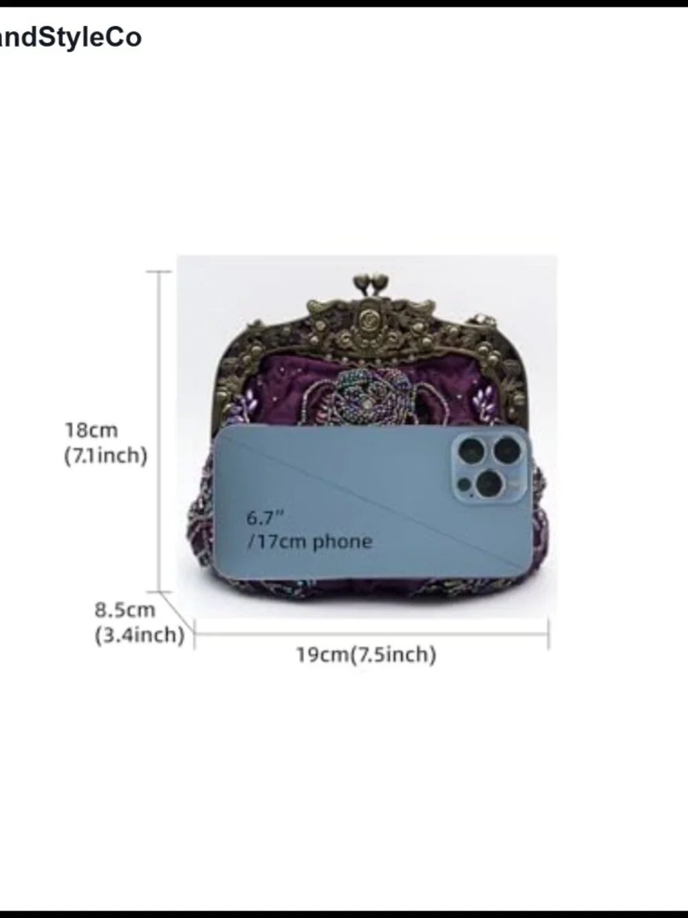 Beaded Rose Evening Clutch Kiss Lock Purse with 2 Chains for Women